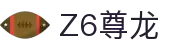 Z6·尊龙「中国」官方网站